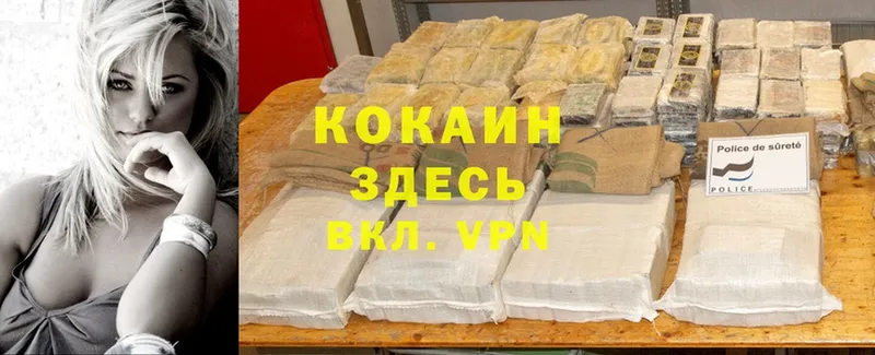 купить закладку  Большой Камень  Cocaine Боливия 