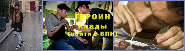 хмурый Пересвет