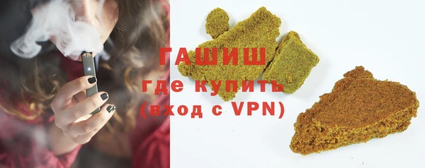 хмурый Пересвет