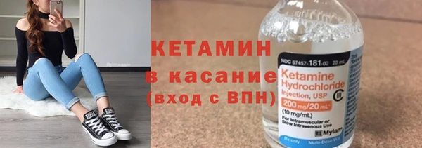 хмурый Пересвет