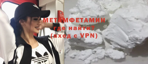 хмурый Пересвет