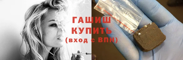 хмурый Пересвет
