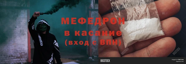 хмурый Пересвет