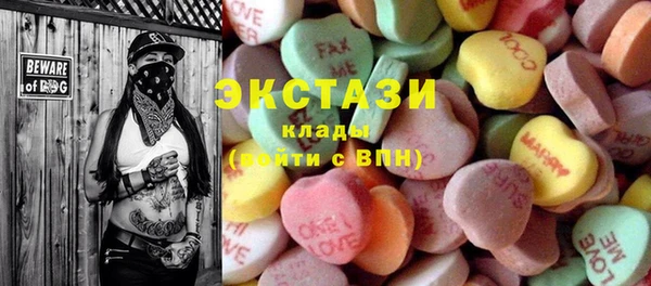 хмурый Пересвет