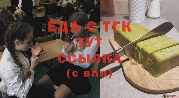 хмурый Пересвет