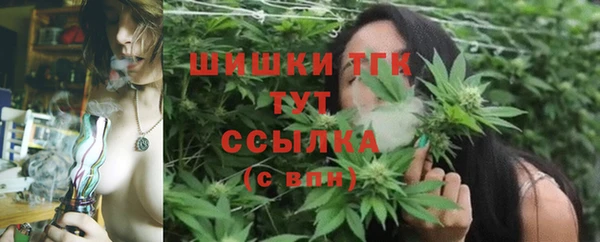 первитин Осинники