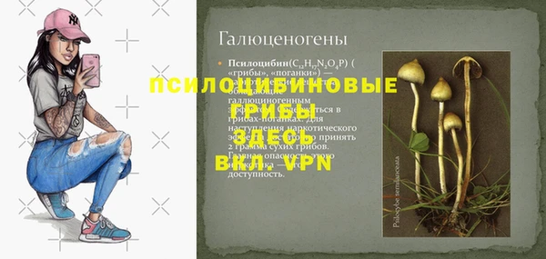 ГАЛЛЮЦИНОГЕННЫЕ ГРИБЫ Пестово