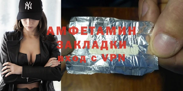 хмурый Пересвет