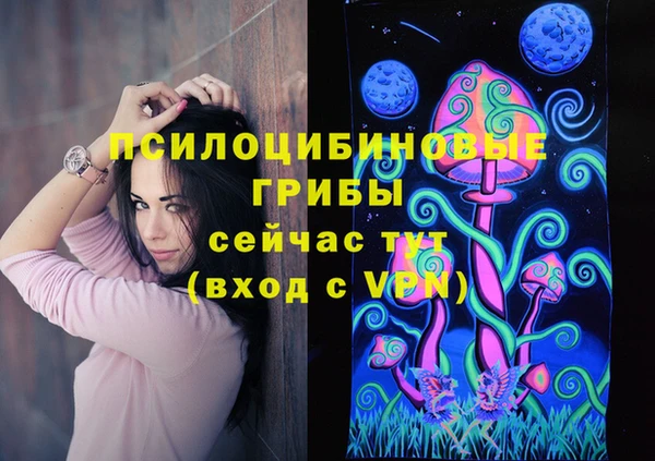 хмурый Пересвет