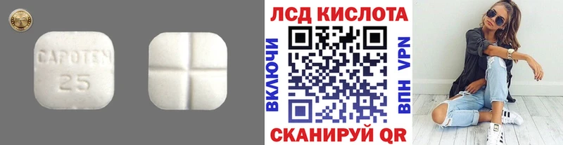 купить наркотик  Большой Камень  omg   ЛСД экстази кислота 