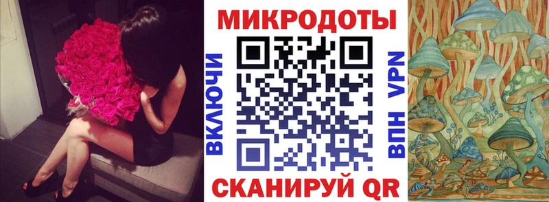 Псилоцибиновые грибы мицелий  продажа наркотиков  Большой Камень 
