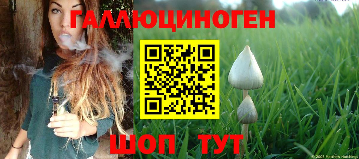 Галлюциногенные грибы ЛСД  Большой Камень 