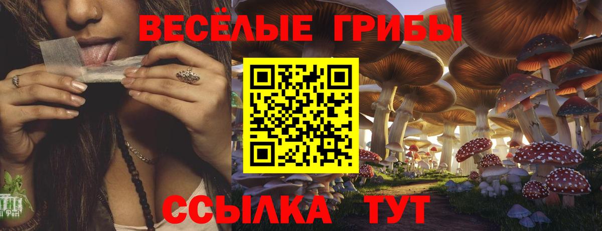 Галлюциногенные грибы Magic Shrooms  Вход с VPN  Галлюциногенные грибы Psilocybe  Большой Камень 